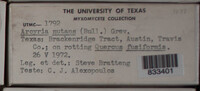 Image Associated With the Occurence